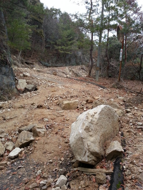 権現山岩の道