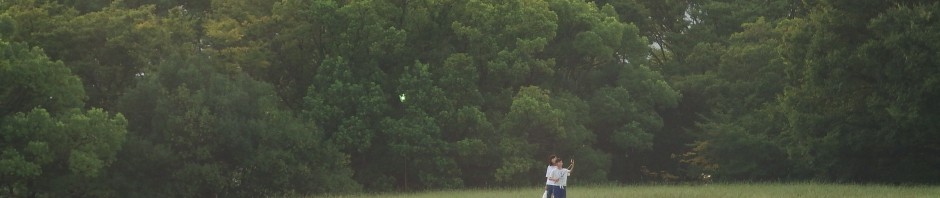 中央公園