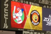西勇輝　マツダスタジアム