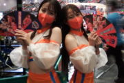 フライガールズ