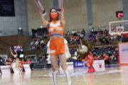 フライガールズ