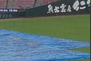 マツダスタジアム