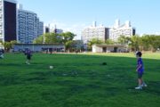 スタジアムパーク