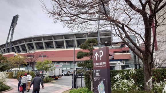 マツダスタジアム サクラ