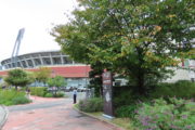 マツダスタジアム
